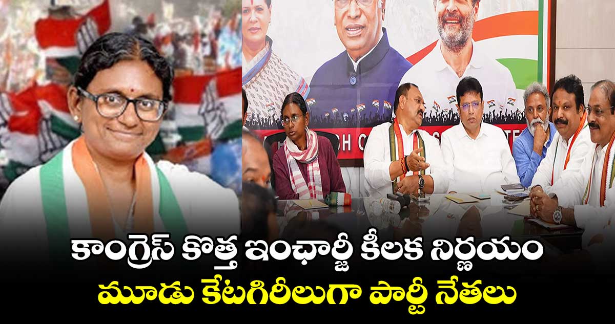 మూడు కేటగిరీలుగా పార్టీ నేతలు: కాంగ్రెస్ కొత్త ఇంఛార్జీ మీనాక్షి నటరాజన్