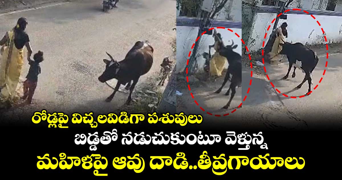 రోడ్లపై విచ్చలవిడిగా పశువులు..బిడ్డతో నడుచుకుంటూ వెళ్తున్న మహిళపై ఆవు దాడి..తీవ్రగాయాలు