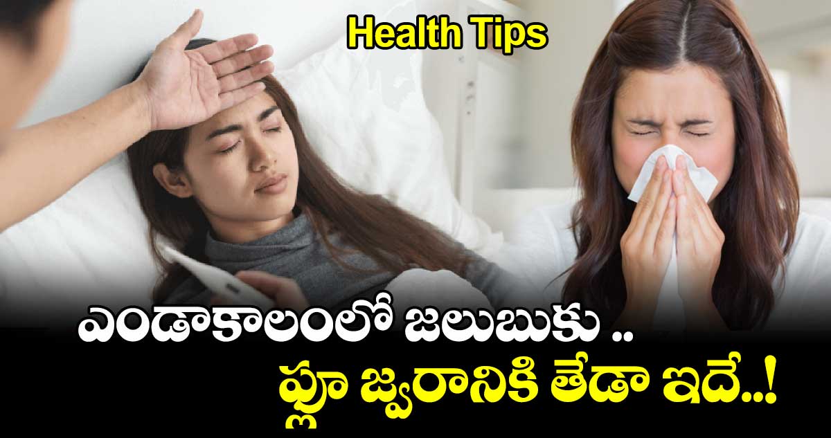 Health Tips: ఎండాకాలంలో జలుబుకు .. ఫ్లూ జ్వరానికి తేడా ఇదే..!