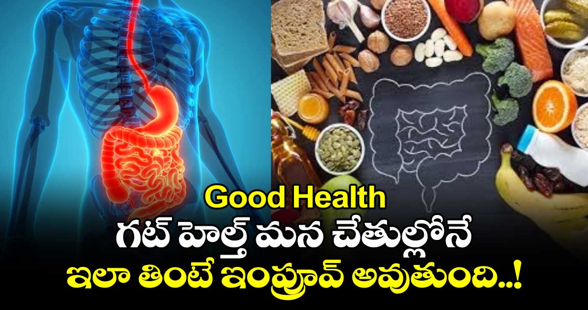 Good Health:  గట్ హెల్త్ మన చేతుల్లోనే.. ఇలా తింటే ఇంప్రూవ్ అవుతుంది..!