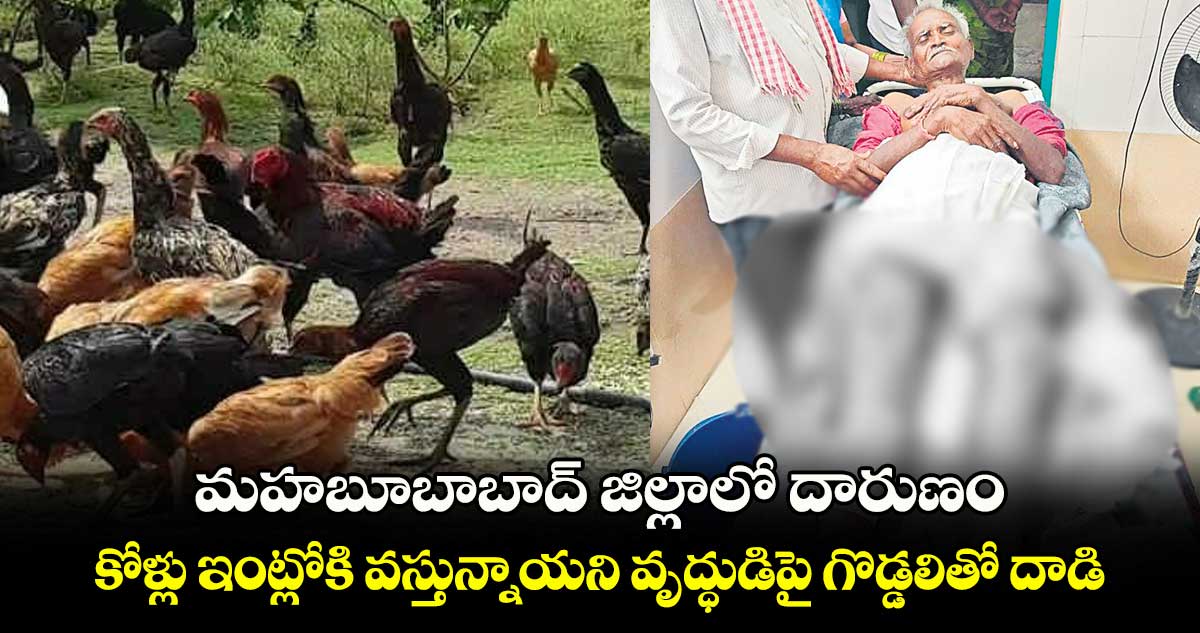 మహబూబాబాద్​ జిల్లాలో దారుణం.. కోళ్లు ఇంట్లోకి వస్తున్నాయని వృద్ధుడిపై గొడ్డలితో దాడి