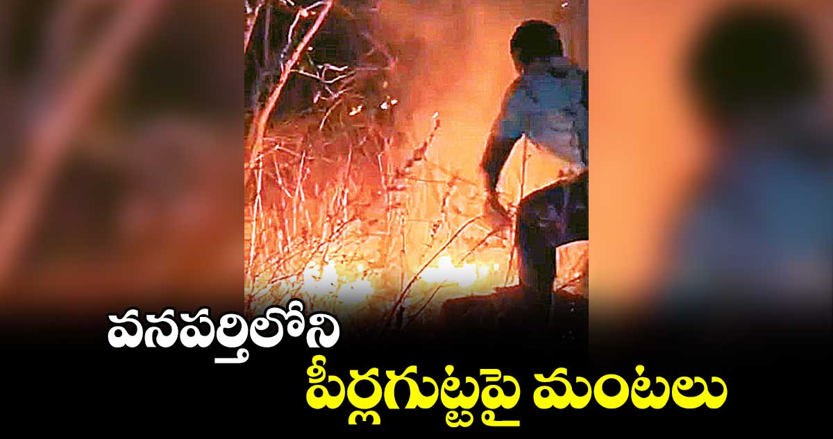 వనపర్తిలోని పీర్లగుట్టపై మంటలు