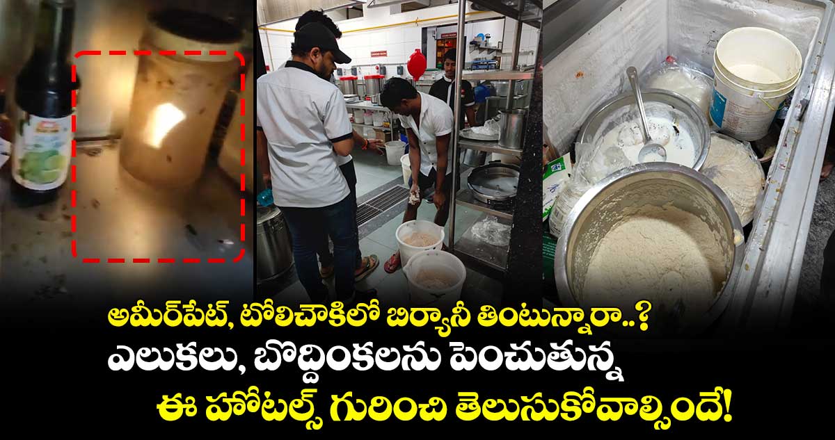 అమీర్పేట్, టోలిచౌకిలో బిర్యానీ తింటున్నారా..? ఎలుకలు, బొద్దింకలను పెంచుతున్న ఈ హోటల్స్ గురించి తెలుసుకోవాల్సిందే!