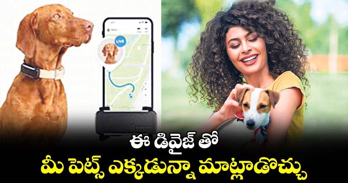 ఈ డివైజ్​ తో.. మీ పెట్స్ ఎక్కడున్నా మాట్లాడొచ్చు