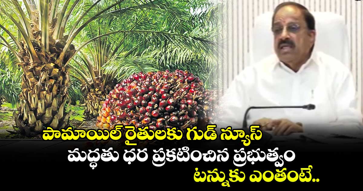 పామాయిల్ రైతులకు గుడ్ న్యూస్.. మద్ధతు ధర ప్రకటించిన ప్రభుత్వం.. టన్నుకు ఎంతంటే..