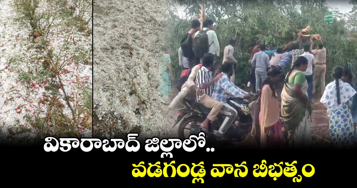 వికారాబాద్ జిల్లాలో వడగండ్ల వాన బీభత్సం