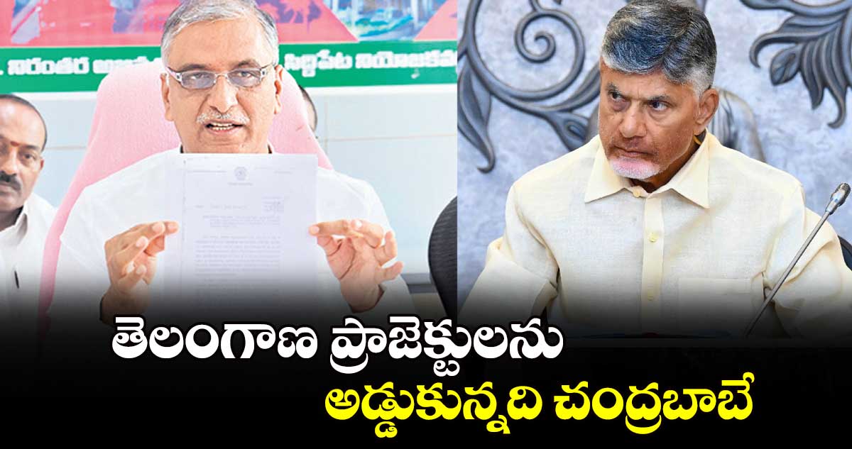 తెలంగాణ ప్రాజెక్టులను అడ్డుకున్నది చంద్రబాబే: హరీష్ రావు 