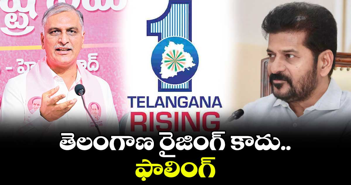 తెలంగాణ రైజింగ్ కాదు.. ఫాలింగ్