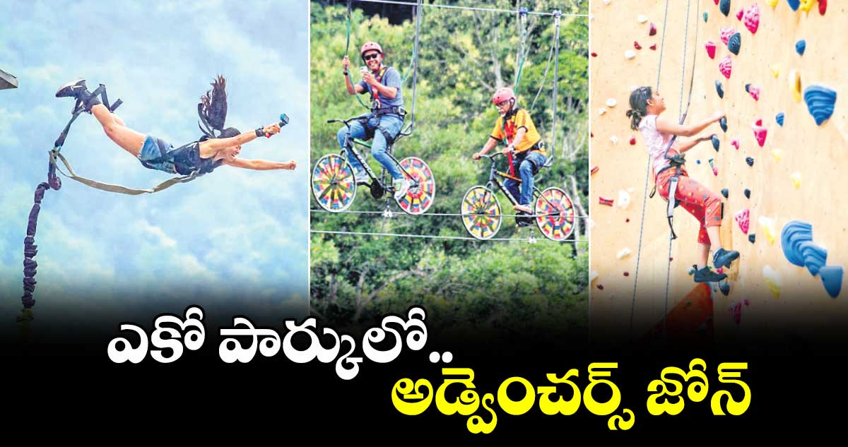 ఎకో పార్కులో  అడ్వెంచర్స్ జోన్