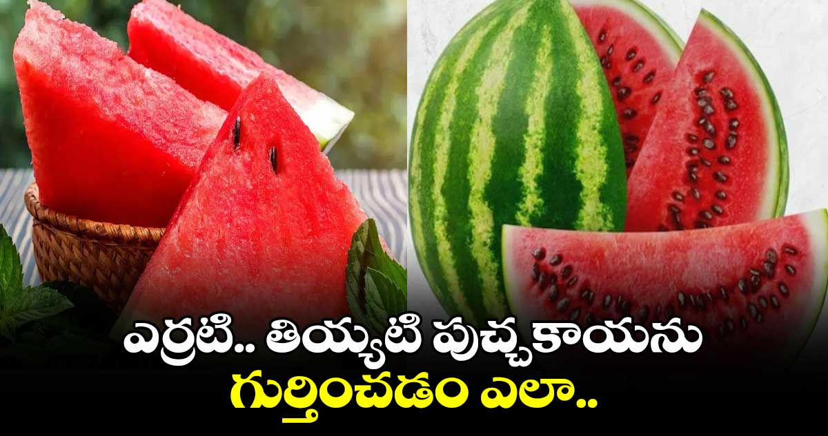  Summer Fruit:  ఎర్రటి.. తియ్యటి పుచ్చకాయను గుర్తించడం ఎలా..