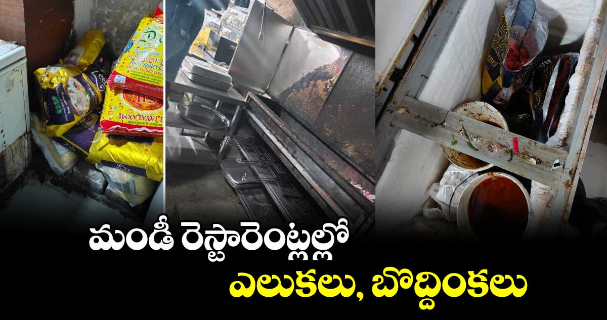 మండీ రెస్టారెంట్లల్లో ఎలుకలు బొద్దింకలు