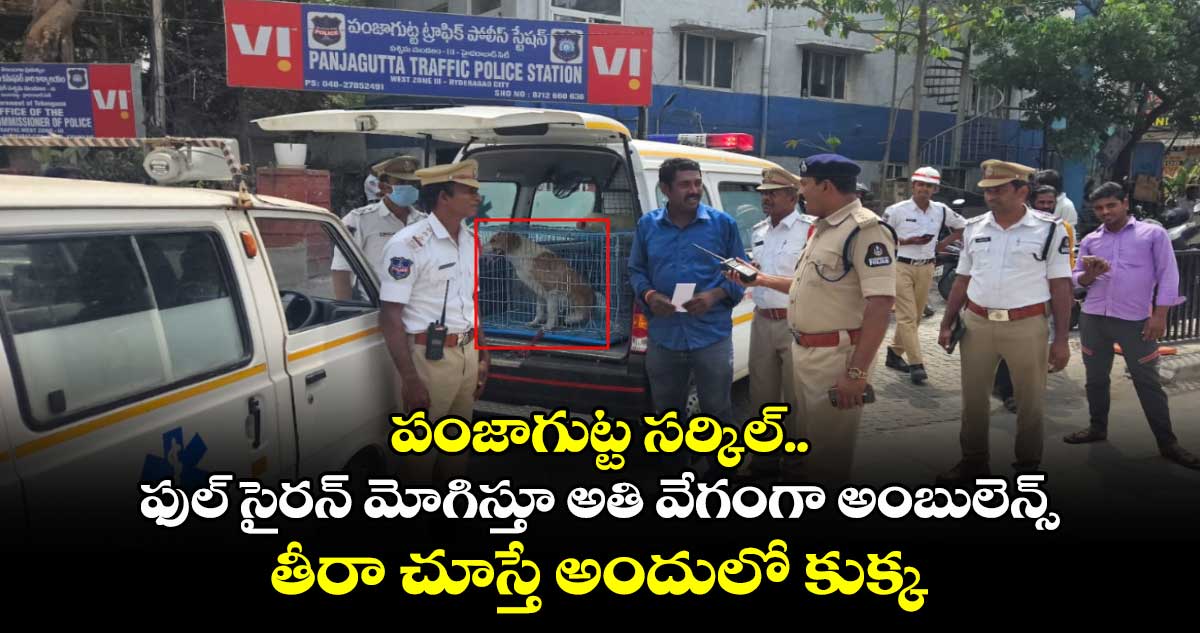 పంజాగుట్ట సర్కిల్.. ఫుల్ సైరన్ మోగిస్తూ అతి వేగంగా అంబులెన్స్.. తీరా చూస్తే అందులో కుక్క