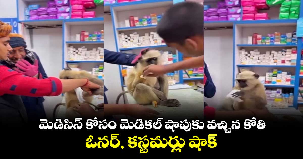 Viral Video: మెడిసిన్ కోసం మెడికల్ షాపుకు వచ్చిన కోతి..ఓనర్, కస్టమర్లు షాక్