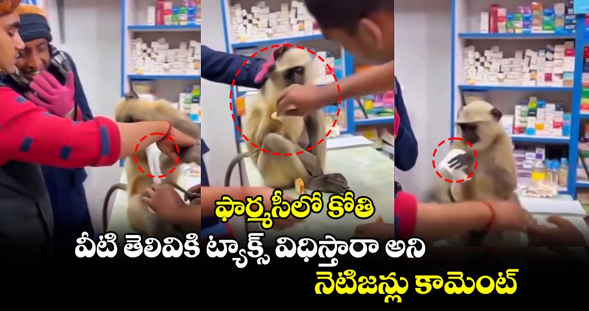 Video Viral: ఫార్మసీలో కోతి... వీటి తెలివికి ట్యాక్స్​ విధిస్తారా అని నెటిజన్లు కామెంట్​..