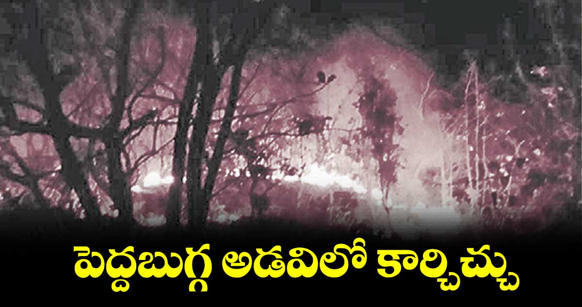 పెద్దబుగ్గ అడవిలో కార్చిచ్చు