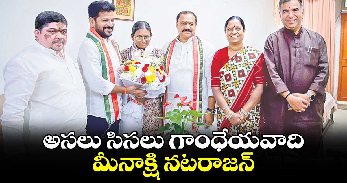 అసలు సిసలు గాంధేయవాది.. మీనాక్షి నటరాజన్