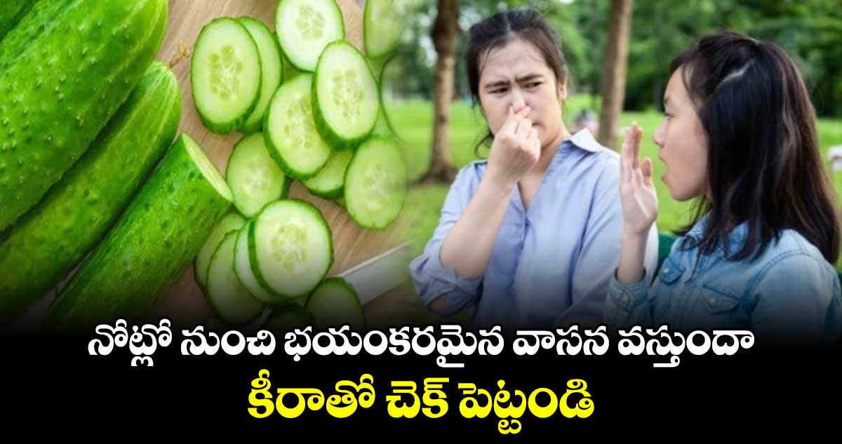 Health Tips:  నోట్లో నుంచి భయంకరమైన వాసన వస్తుందా.. కీరాతో చెక్​ పెట్టండి