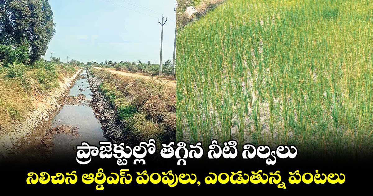 ప్రాజెక్టుల్లో  తగ్గిన నీటి నిల్వలు.. నిలిచిన ఆర్డీఎస్  పంపులు, ఎండుతున్న పంటలు
