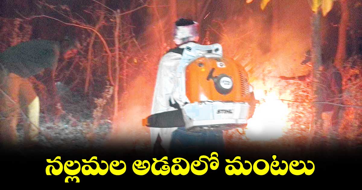 నల్లమల అడవిలో మంటలు