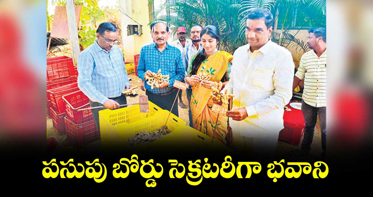 పసుపు బోర్డు సెక్రటరీగా భవాని 