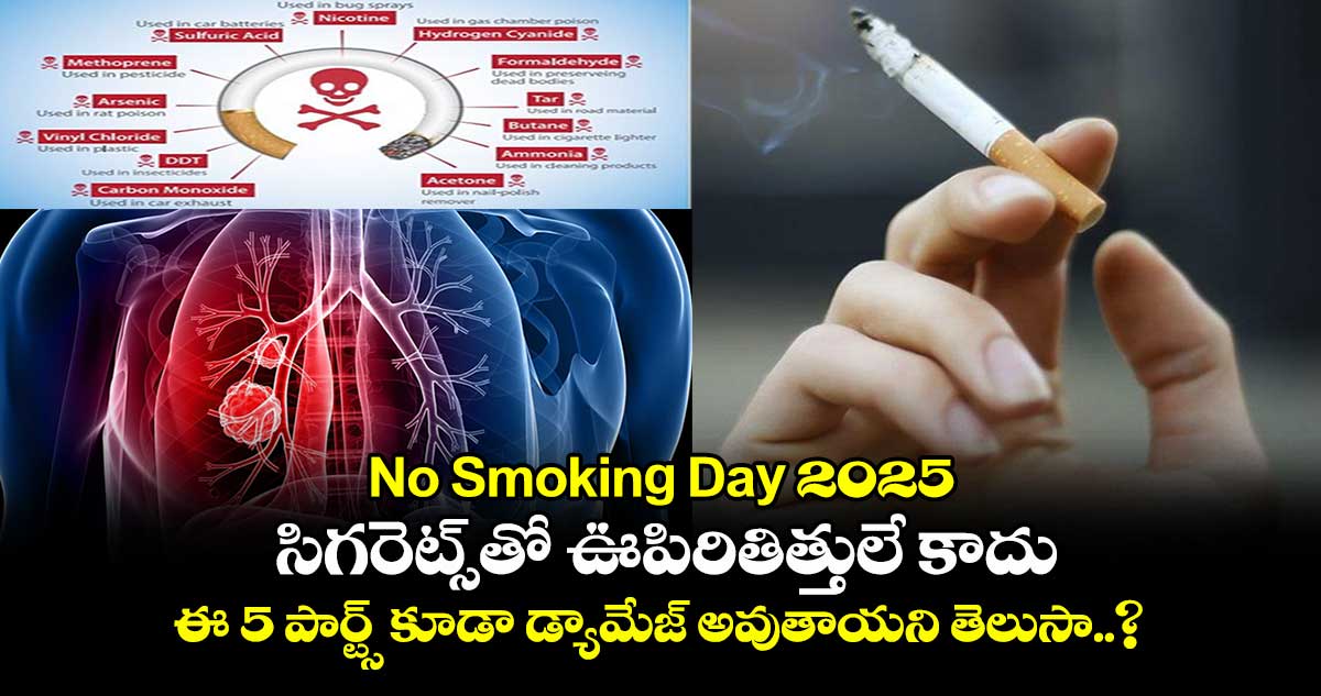 No Smoking Day 2025: సిగరెట్స్⁭తో ఊపిరితిత్తులే కాదు.. ఈ 5 పార్ట్స్ కూడా డ్యామేజ్ అవుతాయని తెలుసా..?