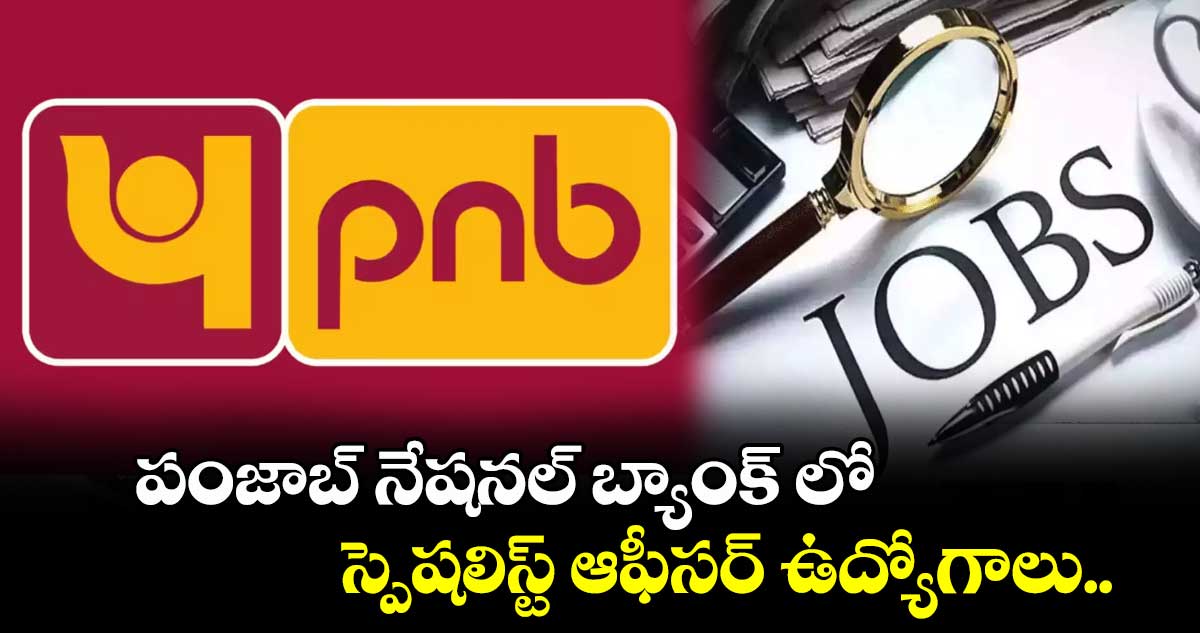 పంజాబ్ నేషనల్ బ్యాంక్ లో స్పెషలిస్ట్​ ఆఫీసర్​ ఉద్యోగాలు.. 