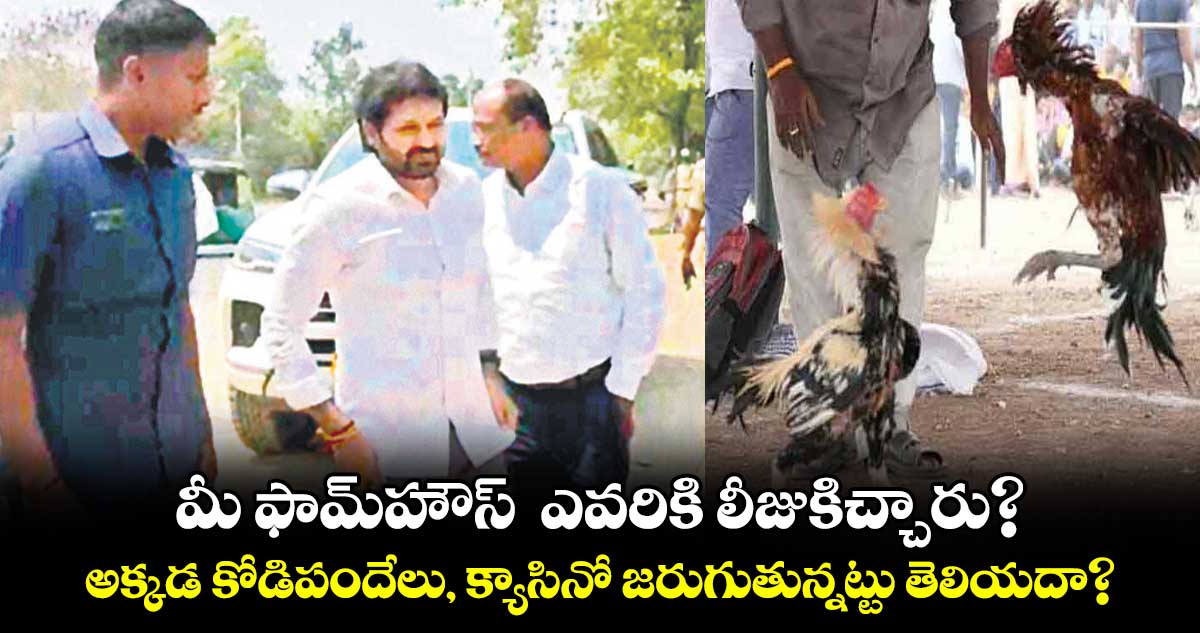 మీ ఫామ్‌‌‌‌‌‌‌‌హౌస్  ఎవరికి లీజుకిచ్చారు? అక్కడ కోడిపందేలు, క్యాసినో జరుగుతున్నట్టు తెలియదా?