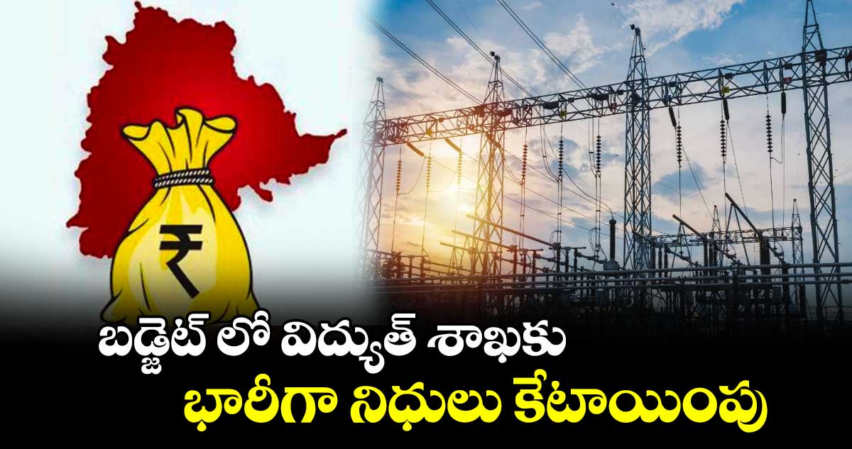 బడ్జెట్​ లో విద్యుత్​ శాఖకు భారీగా నిధులు కేటాయింపు