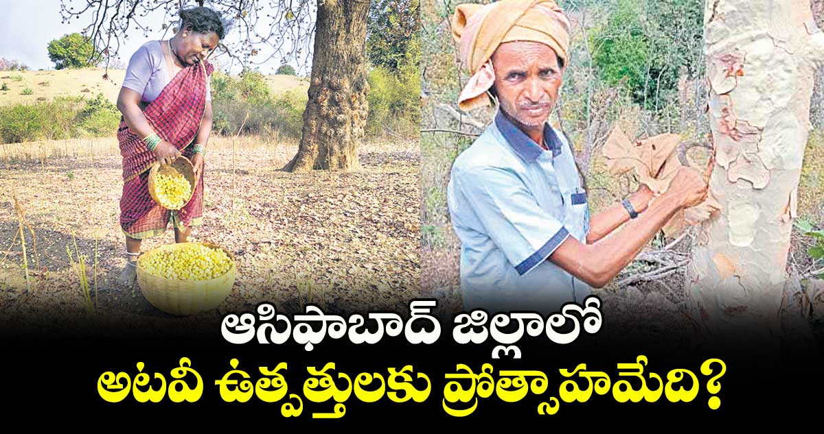 ఆసిఫాబాద్ జిల్లాలో  అటవీ ఉత్పత్తులకు ప్రోత్సాహమేది?