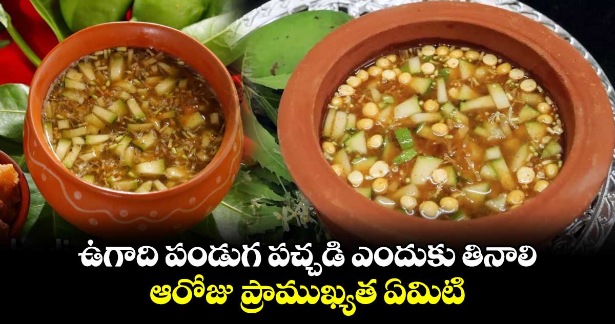 Ugadi 2025:  ఉగాది పండుగ పచ్చడి ఎందుకు తినాలి..  ఆరోజు ప్రాముఖ్యత ఏమిటి..