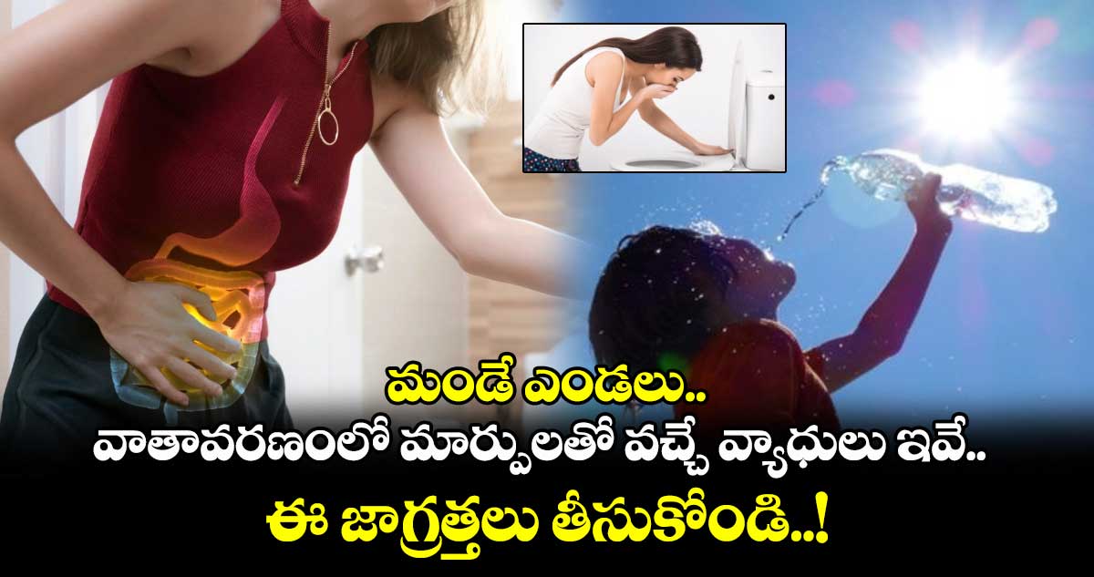 Good Health : మండే ఎండలు, వాతావరణంలో మార్పులతో వచ్చే వ్యాధులు ఇవే.. ఈ జాగ్రత్తలు తీసుకోండి..!