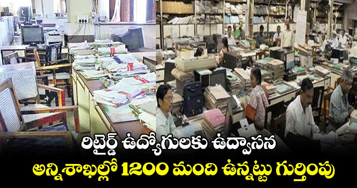 రిటైర్డ్ ఉద్యోగులకు ఉద్వాసన ..అన్నిశాఖల్లో 1200 మంది ఉన్నట్టు గుర్తింపు