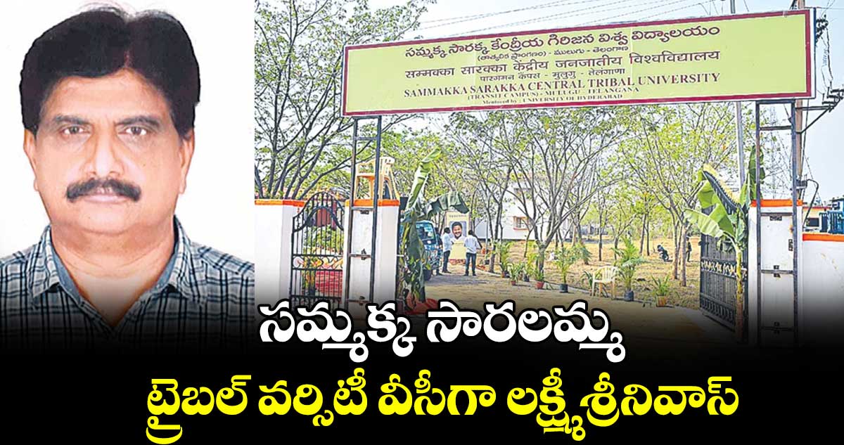 సమ్మక్క సారలమ్మ ట్రైబల్ వర్సిటీ వీసీగా లక్ష్మీ శ్రీనివాస్