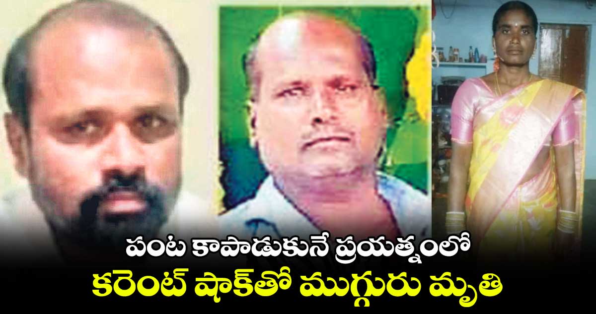 పంట కాపాడుకునే ప్రయత్నంలో.. కరెంట్‌‌ షాక్‌‌తో ముగ్గురు మృతి