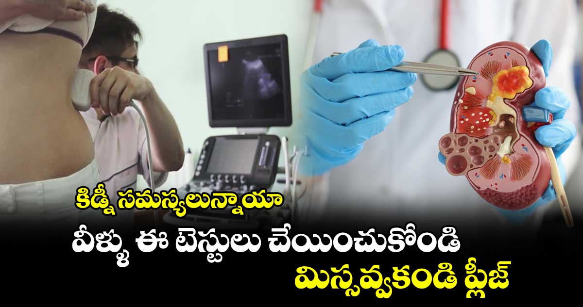 కిడ్నీ సమస్యలున్నాయా.. వీళ్ళు ఈ టెస్టులు చేయించుకోండి... మిస్సవ్వకండి ప్లీజ్..  