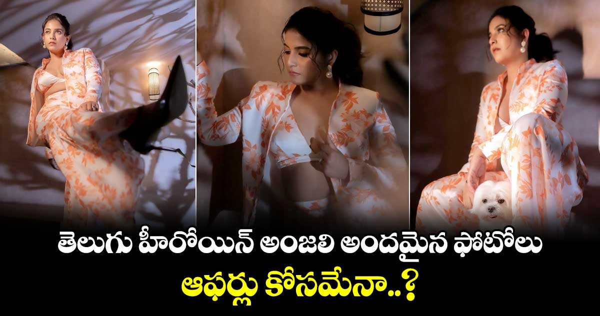 Anjali Beautiful Photos: తెలుగు హీరోయిన్ అంజలి అందమైన ఫోటోలు.. ఆఫర్లు కోసం కోసమేనా..?