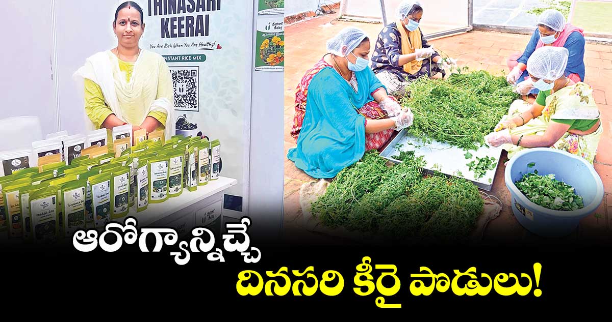 ఆరోగ్యాన్నిచ్చే  దినసరి కీరై పొడులు!