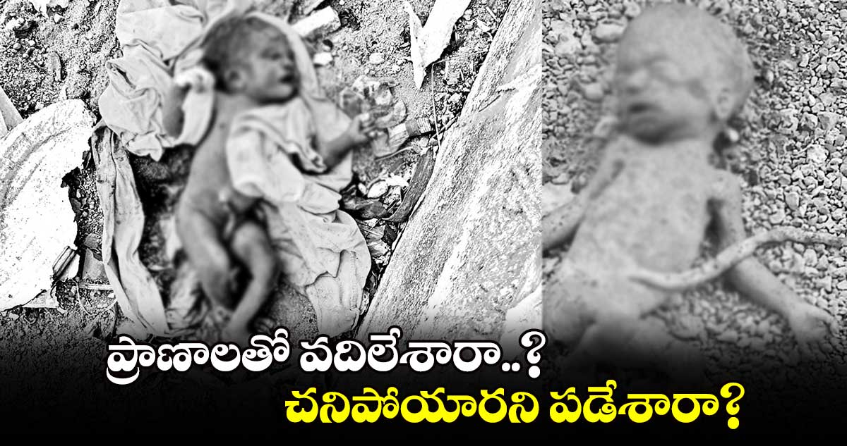 ప్రాణాలతో వదిలేశారా..? చనిపోయారని పడేశారా?