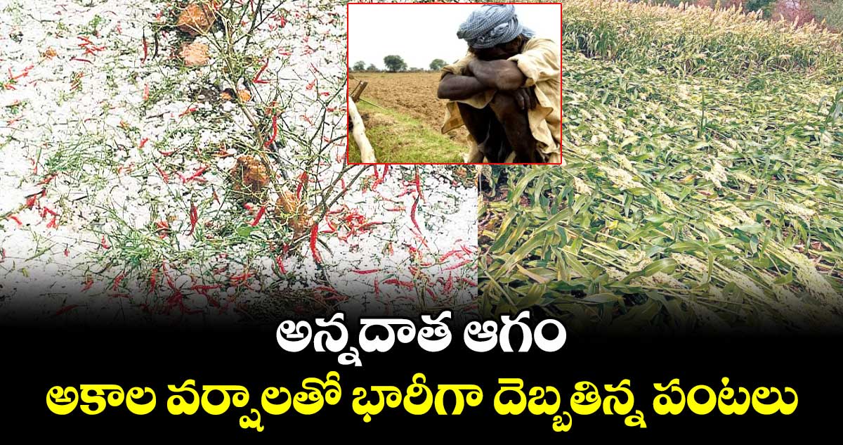 అన్నదాత ఆగం..అకాల వర్షాలతో భారీగా దెబ్బతిన్న పంటలు