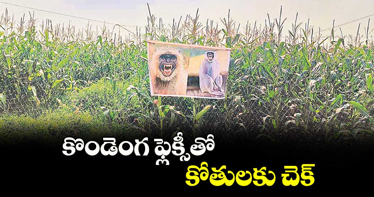 కొండెంగ ఫ్లెక్సీతో కోతులకు చెక్​