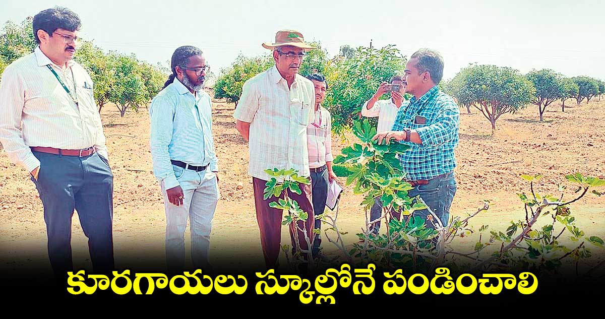 కూరగాయలు స్కూల్లోనే పండించాలి : టీజీ హార్టికల్చర్​ యూనివర్సిటీ వీసీ రాజిరెడ్డి