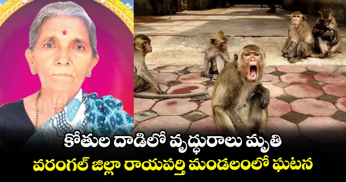 కోతుల దాడిలో వృద్ధురాలు మృతి.. వరంగల్ జిల్లా రాయపర్తి మండలంలో ఘటన