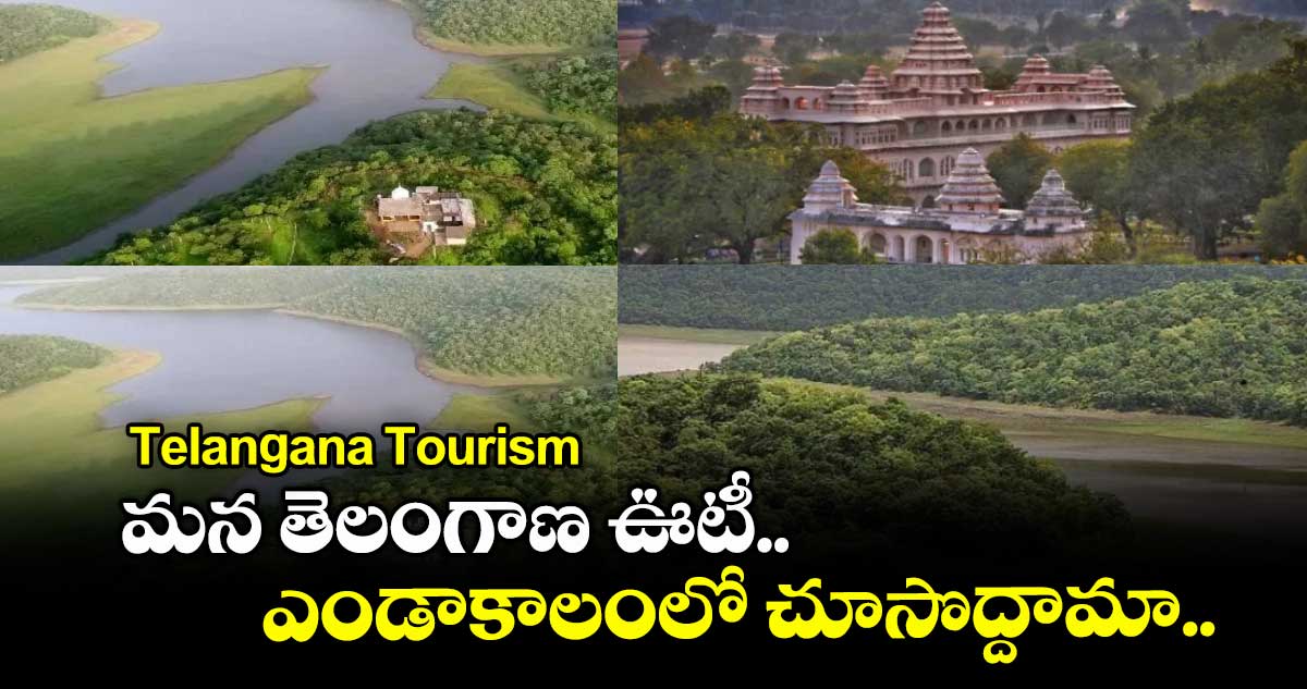Telangana Tourism: మన  తెలంగాణ ఊటీ... ఎండాకాలంలో చూసొద్దామా..