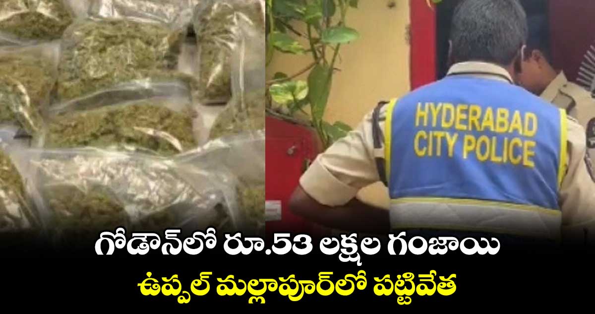గోడౌన్​లో రూ.53 లక్షల గంజాయి..ఉప్పల్‌‌ మల్లాపూర్​లో పట్టివేత
