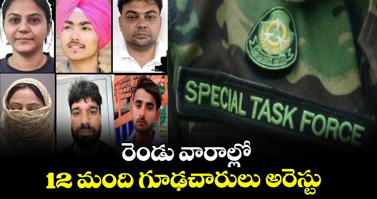 రెండు వారాల్లో 12 మంది గూఢచారులు అరెస్టు