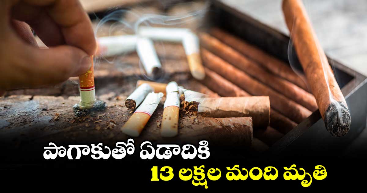 పొగాకుతో ఏడాదికి 13 లక్షల మంది మృతి