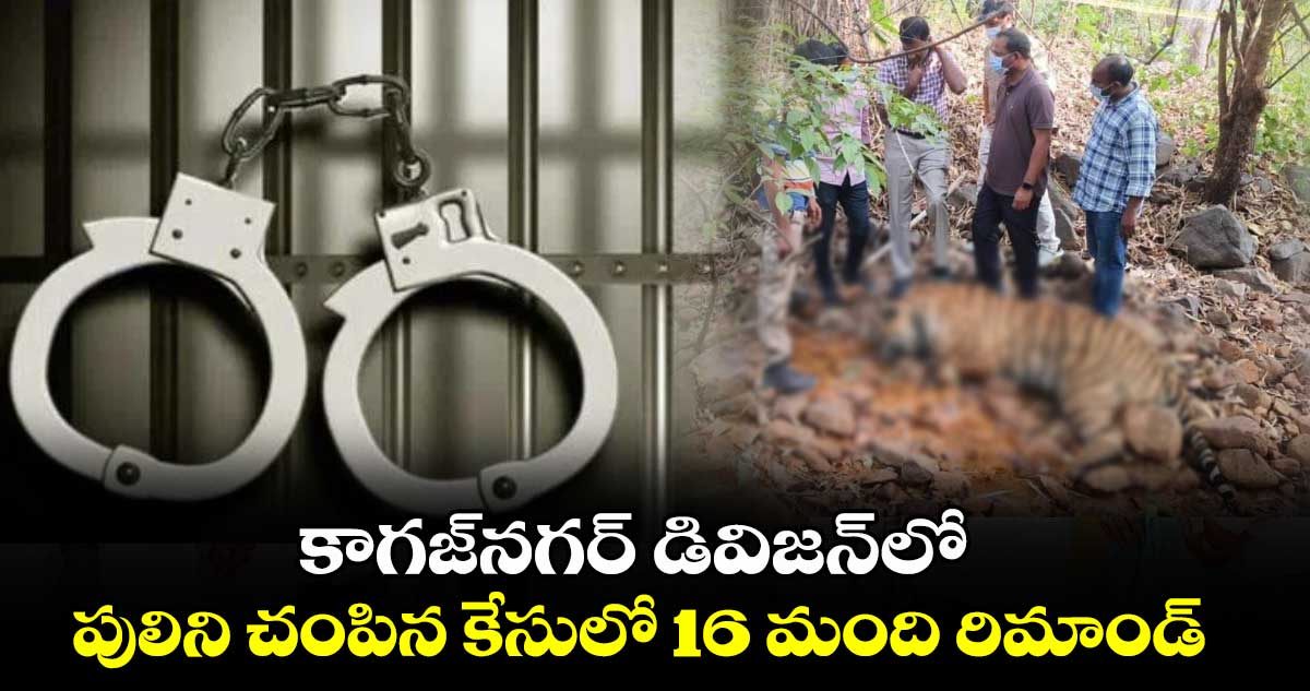 కాగజ్నగర్ డివిజన్లో .. పులిని చంపిన కేసులో 16 మంది రిమాండ్