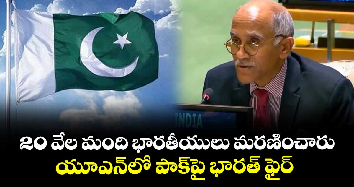 20 వేల మంది భారతీయులు మరణించారు: యూఎన్లో పాక్పై భారత్ ఫైర్