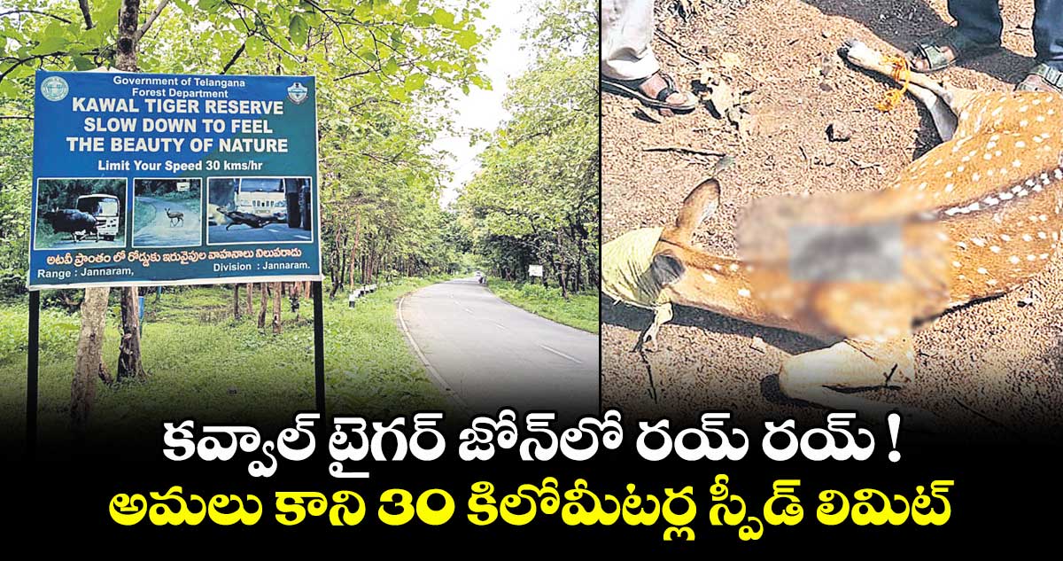 కవ్వాల్ టైగర్ జోన్లో రయ్ రయ్ !. అమలు కాని 30 కిలోమీటర్ల స్పీడ్ లిమిట్