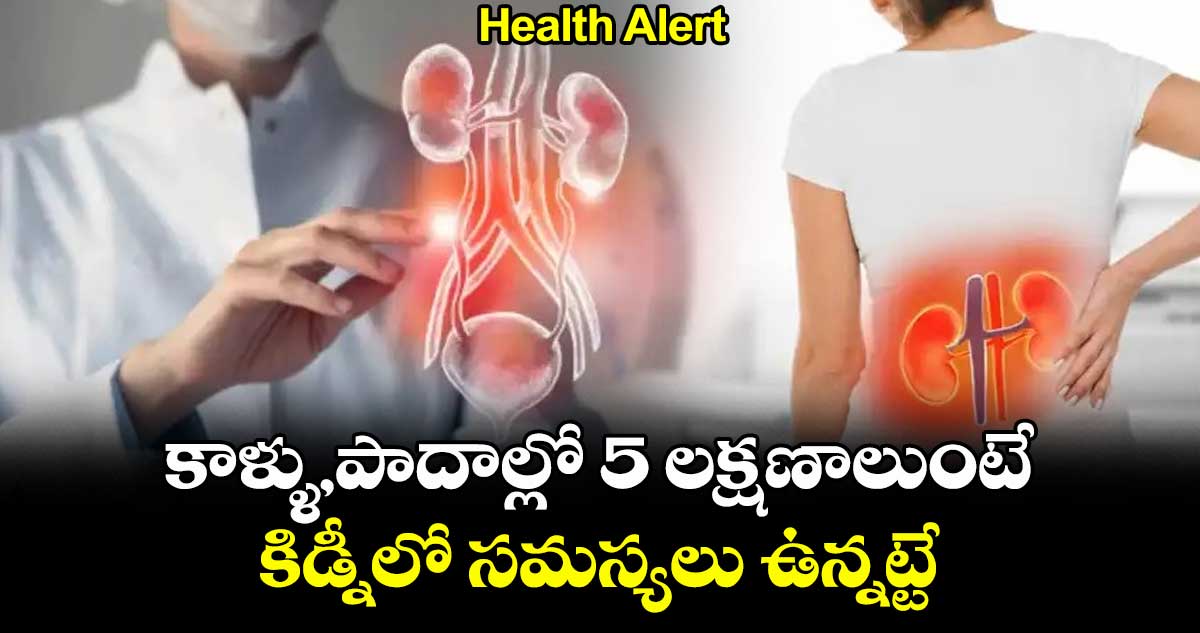 Health Alert:కాళ్ళు,పాదాల్లో 5 లక్షణాలుంటే ..కిడ్నీలో సమస్యలు ఉన్నట్టే